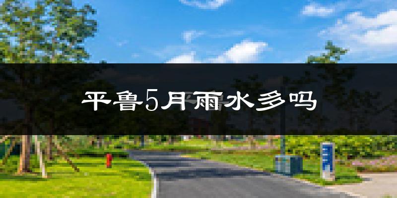 平鲁5月雨水多吗?