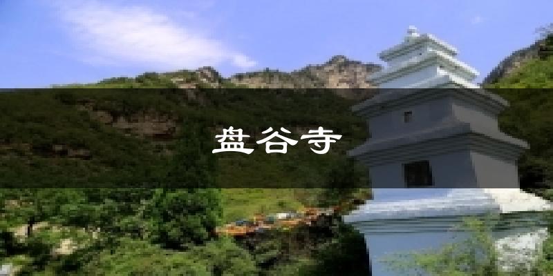 盘谷寺天气预报十五天