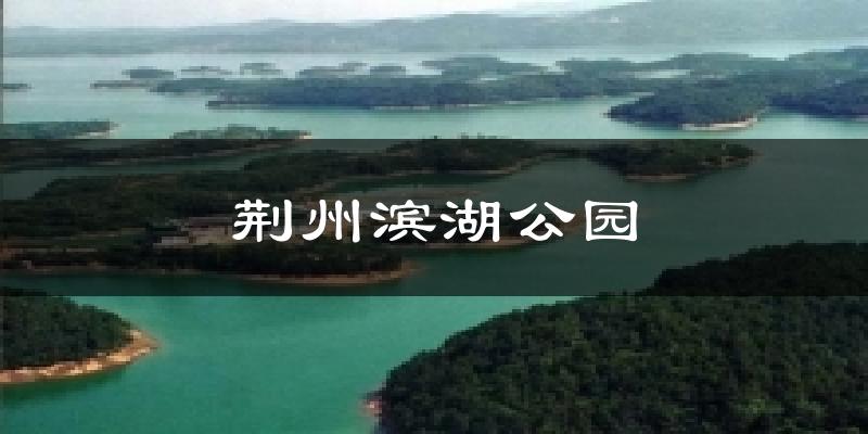 荆州滨湖公园天气预报十五天